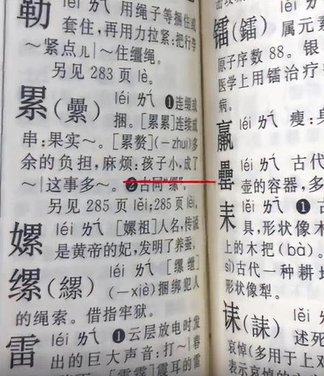 网友质疑新华字典释义不当，宣布正式起诉，看看她的依据是什么...