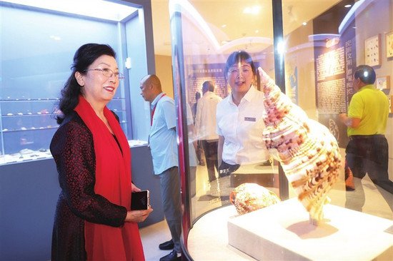 海南首家砗磲博物馆三亚开馆 每周二至周日免费开放