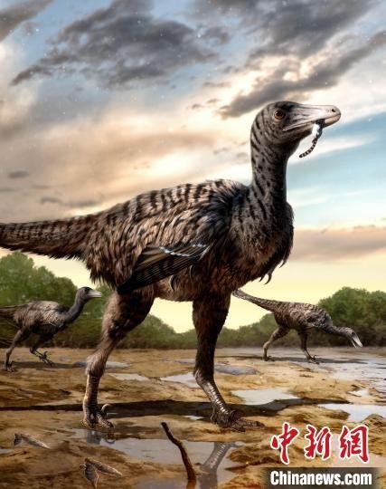 <em>福建</em>发现全球最大的恐爪龙类足迹