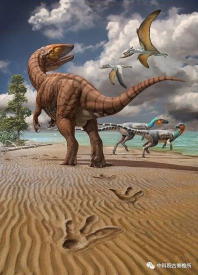 新疆准噶尔盆地发现世界最大亚洲恐龙足迹，体长近6米处漫步状态