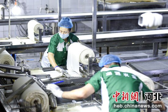 河北广阳：机械化赋能农产品深加工 保供京津“菜篮子”