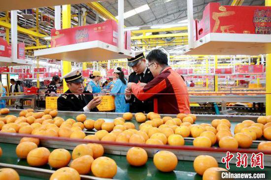 邕州海关出台措施 助推广西优质水果香飘海外