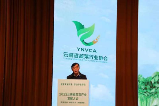 “蔬”写新发展，2022年<em>云南</em>省蔬菜产业发展大会在景东县盛大...