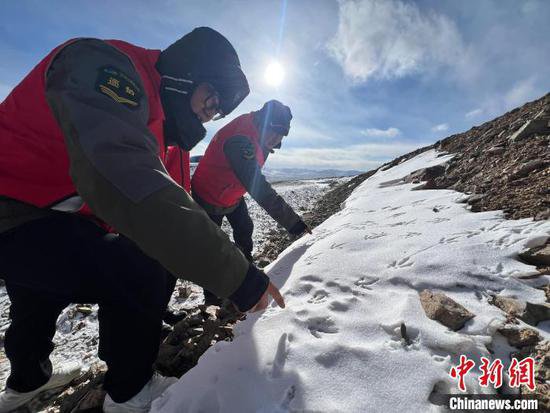 （新春见闻）海拔4700米，探访祁连山冰川管护员