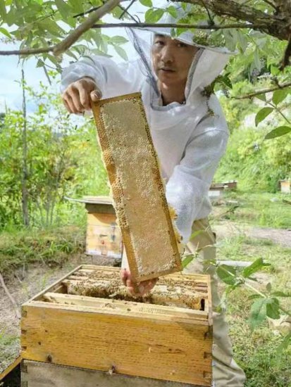 湖南城步<em>蜂蜜</em>入选全国名特优新农产品名录