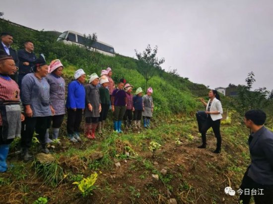 省林业局到台江开展送科技下乡培训暨林业科技服务活动
