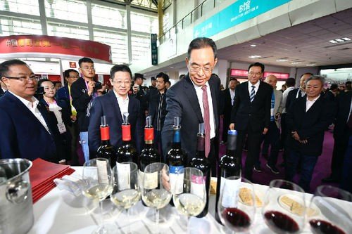 2019“一带一路”（宁夏<em>银川</em>）国际葡萄酒大赛开幕