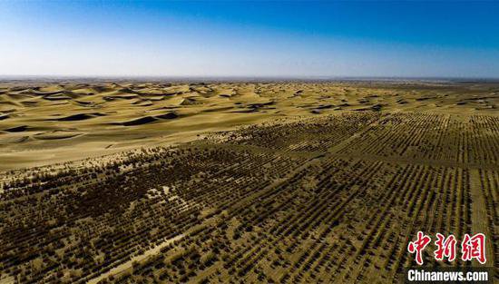 新疆兵团：沙漠边借自压灌溉系统种植<em>中草药</em>显成效