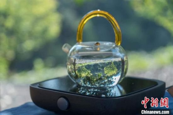 上海创新启动“市民健康茶饮文化节” 打开喝茶新<em>方式</em>