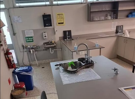 澳大利亚一名老师在科学课上发现一条蟒蛇<em>从</em>讲桌水槽<em>里爬出</em>