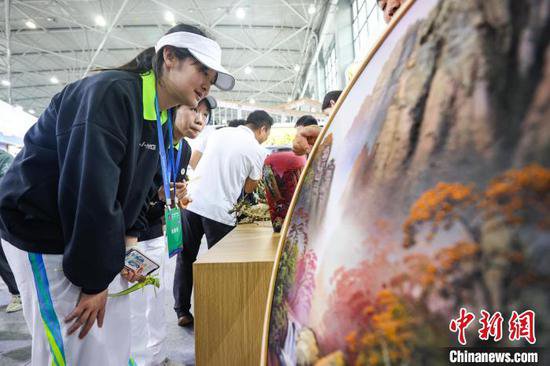 第二届全国乡村振兴职业技能大赛贵州展区吸引观众