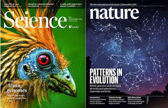 《自然》与《自然·通讯》！万种鸟基因组计划第二阶段新成果再...