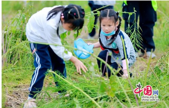 成都锦江大观小学2024年春季社会实践：不负好春光，实践促成长