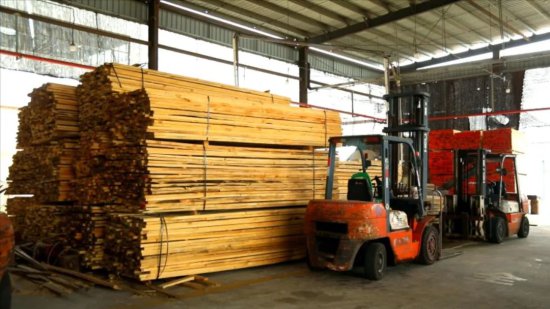 全省首家大宗进口木材产业园进入试产阶段 预计4月底投产