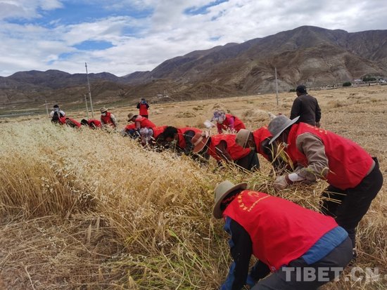 西藏自治区<em>统计局</em>驻孜龙村工作队工作纪实
