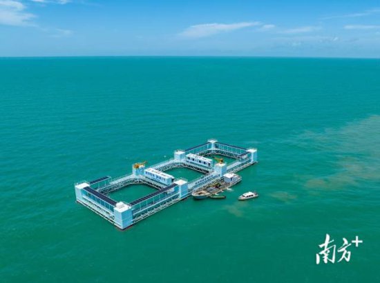 5年内全面建成“蓝色粮仓”，广东海水养殖走向“深蓝”