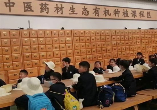 合肥六小荣城分校一年级开展春季研学活动