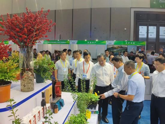 第十八届中国林产品交易会开幕！