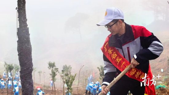 羊城职工志愿服务活动启动！广州工会义务植树4万多棵
