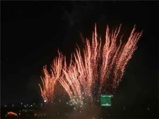 <em>苏州大</em>阳山植物园将举办电音烟花秀元旦跨年盛典