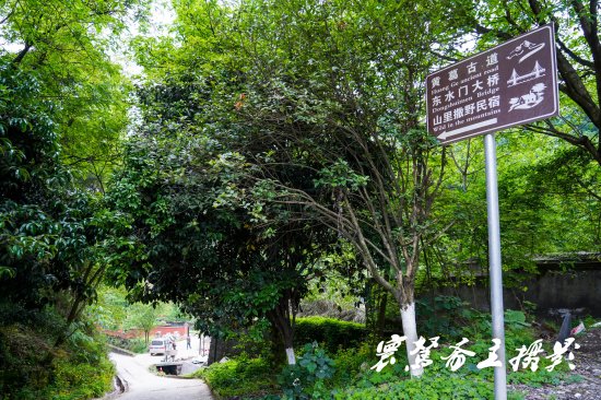重庆南山上有一座超级无敌的观景台，道路太陡峭普通游客最好...