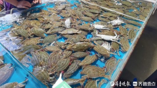 昨天百元一斤，今天只要三十四，中秋刚过，螃蟹价格...