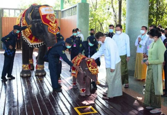 缅军总司令敏昂莱大将为2022年出生的小白象举行命名和迁居仪式